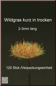 GL-008 Grass Short Tufts - Dry