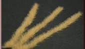 GL-034 Grass Strips - Dry