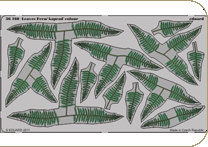 EDU-36160 Leaves Fern / Kaprad - colour