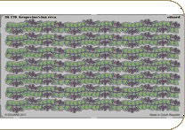 EDU-36170 Grapevine/vinná réva - colour