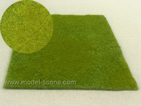 F001 Cut Meadow - Spring