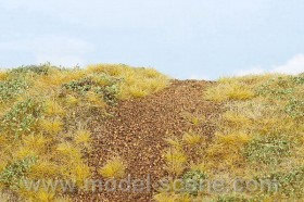 F543 Embankment - late summer