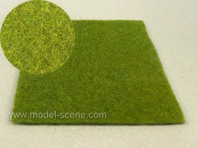 F021 (004) Meadow - High-grown, Spring