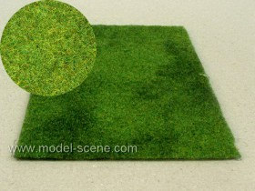 F002 Cut Meadow - Early summer