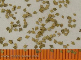 L3-104 Birch - Extra colours, autumn