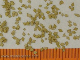 L3-204 Birch - dry leaves