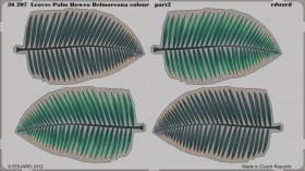 EDU-36207 Leaves Palm Howea Belmoreana colour