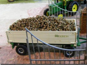 23092 Sugar beets - loose/separate