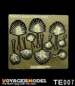 VS002 Leaves of plam tree II (Same as TE007)