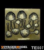 VS002 Leaves of plam tree II (Same as TE007)