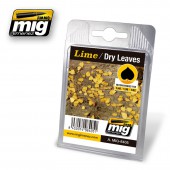 AMIG8405 LIME - DRY LEAVES