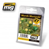 AMIG8451 MARSH MARIGOLD