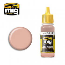 AMIG0116 BASIC SKIN TONE