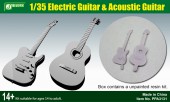 PPA3131 Electric Guitar & Acoustic Guitar