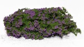 MS701-94S Flowering shrubs – Lilac