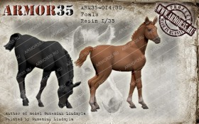 ARM35-014(3D) Жеребята