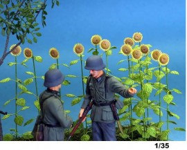 A 1-35 Sunflower (1/35)