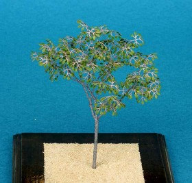 A-7-35 Generic leaves