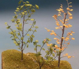 A-14 Horse Chesnut Tree Leaves