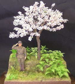 A-27 Cherry Blossoms