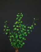 GL-100-GN Vine - Fire green