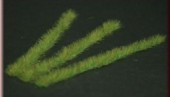 GL-031 Grass Strips - Light Green